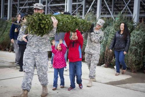 "This year, my husband and I were able to go get a real tree via your generous donation.  It has surely brightened up our holiday! Thank you again and Merry Christmas!”