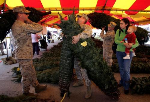 "Without your support and donation, my home would likely not have a Christmas tree this year. My husband is currently deployed, and as I'm sure you can understand, Christmas just isn't the same without him. However, as I sit in front of the tree you provided, I can't help but smile. Thank you for bringing joy into my home this morning."